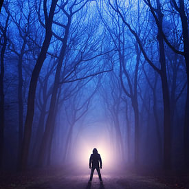Martin Podt profielfoto