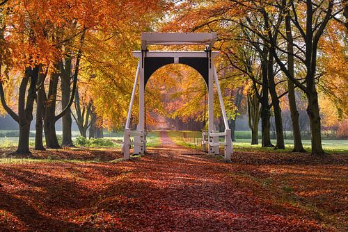 Het Bruggetje bij de Ennemaborg in Midwolda
