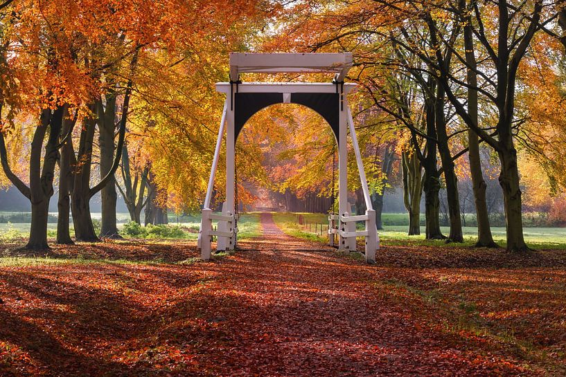 The little bridge at Ennemaborg in Midwolda by Marga Vroom
