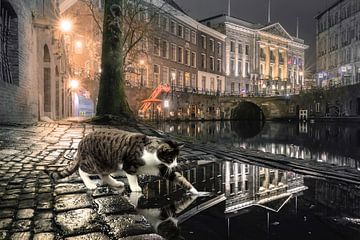 Hello Kitty - Katze in Utrecht von Wesley Heyne