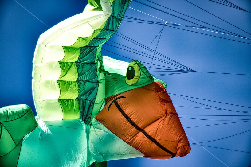 Drachenfestival Norderstedt by Dirk Bartschat