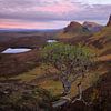 Quiraing bergen in een Skye landschap bij zonsopkomst van iPics Photography