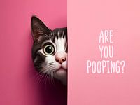 Pooping