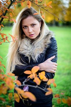 Automne sur Michael Walther