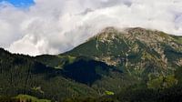 Blick auf den deutschen Alpenberg Nebelhorn aus einem Dorf im Allgäu.
