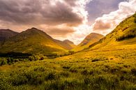 Glencoe Valley, Schotland van Dennis Wardenburg thumbnail
