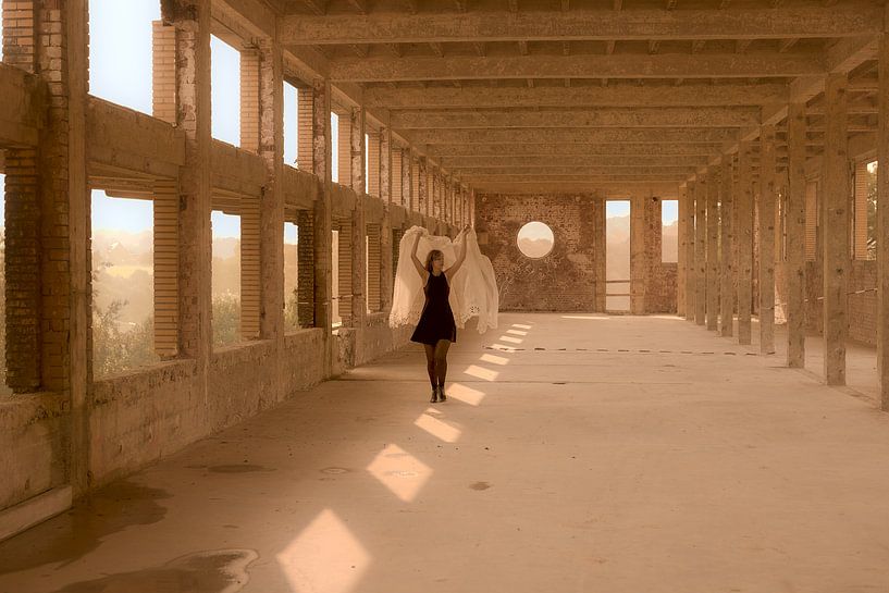 Hotel Butterfly by True Color Stories