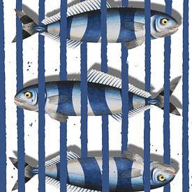 To Catch 3 Fish by Marja van den Hurk