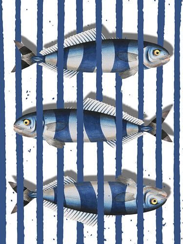 To Catch 3 Fish sur Marja van den Hurk