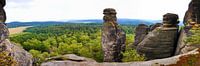 Traumhafte Landschaft im Elbsandsteingebirge von fotoping Miniaturansicht