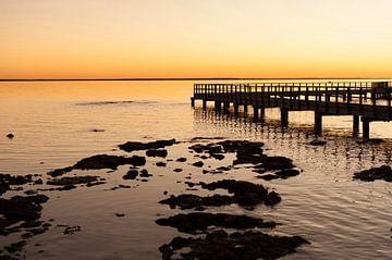 Hamelin Bay, West-Australië van Hilke Maunder