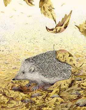 Ode to the hedgehog by Marieke Nelissen