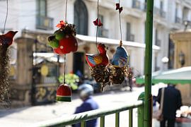 Close-up by Mark de Kievith