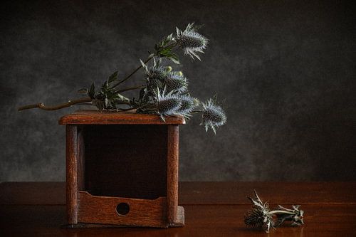 Ein Bündel Disteln auf einem Holzständer von Irene Ruysch fotografie
