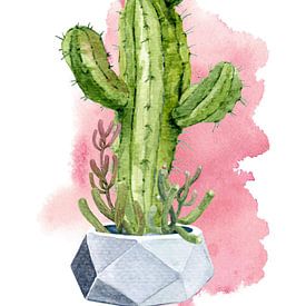 Cactus et fleur dans un pot sur Printed Artings