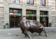 Etree van Euronext, oftewel de AEX van Ivo de Rooij thumbnail