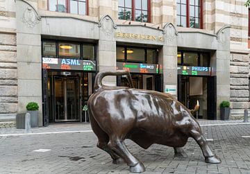 Etree van Euronext, oftewel de AEX van Ivo de Rooij