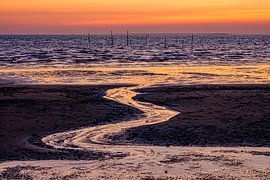 Rockanje Beach, Zeeland by Eddy Westdijk