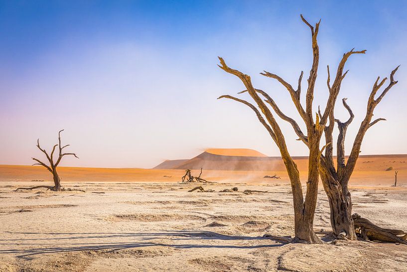 Dead tree in Deadvlei - Sossusvlei. by Gunter Nuyts