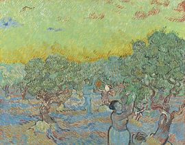 Olivenhain mit zwei Olivenpflückern, Vincent van Gogh