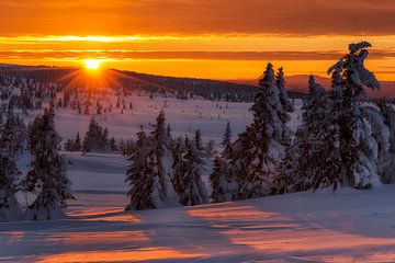 Winter Zonsondergang in Noorwegen van Adelheid Smitt