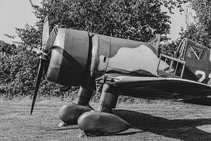 Fokker D-XXI 229 auf dem Flugplatz Hoogeveen.