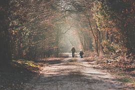 Genießen Sie im Wald