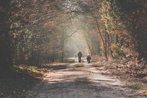 Profitez de la forêt