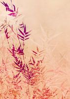BAMBOO PART V-5