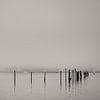 Misty Harbor by Peter Vruggink