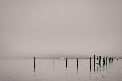 Misty Harbor by Peter Vruggink