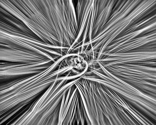 proluit insano contorquens col