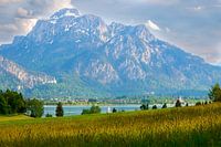 Forggensee