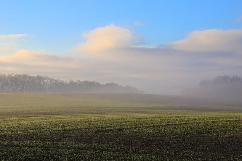 Fog and clouds by Bernhard Kaiser