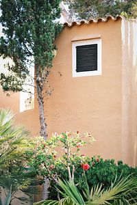 Terrakotta-Haus mit Orleander auf Ibiza // Reisefotografie