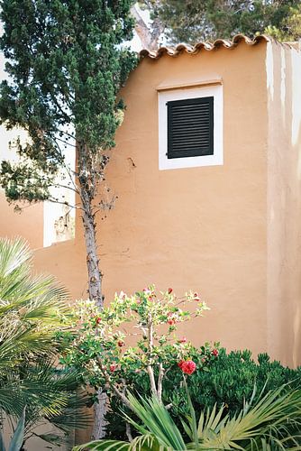 Maison en terre cuite avec des lauriers-roses à Ibiza // Photographie de voyage