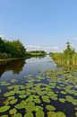 Wieden landschap van Sjoerd van der Wal Fotografie thumbnail