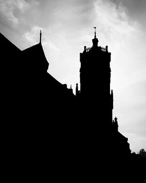 Silhouet Elster Toren van Nicky Kapel