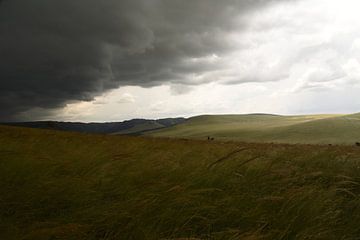 Test 2 von Steve Krug