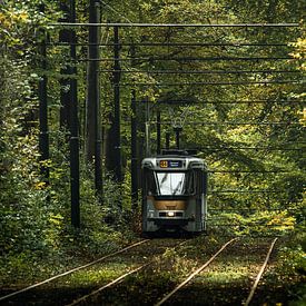 Straßenbahn 44 im Herbst von Jim De Sitter
