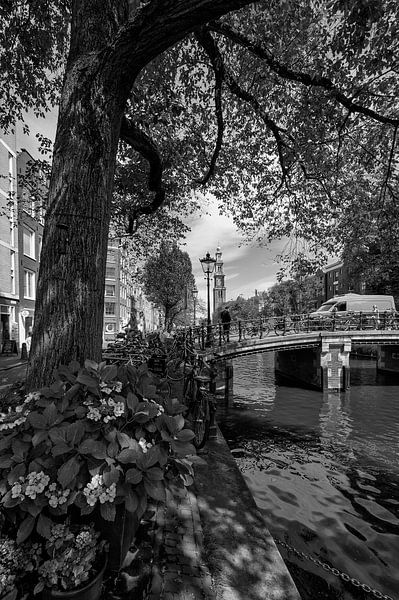 Zomer in Amsterdam van Peter Bartelings