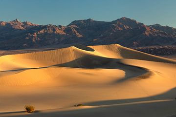 Mesquite zandduinen bij zonsopgang, Death Valley National Park, VS van Markus Lange