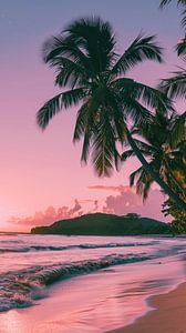 Coucher de soleil tropical de rêve 1