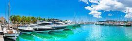 De boten van de luxejachten bij de jachthaven van Palma de Majorca, Balearen van Alex Winter