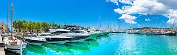 Luxury yachts boats at marina port of Palma de Majorca, Balearic Islands by Alex Winter
