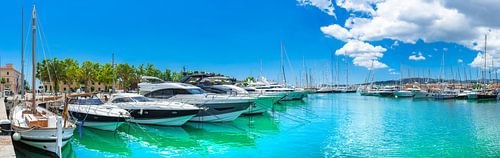 De boten van de luxejachten bij de jachthaven van Palma de Majorca, Balearen