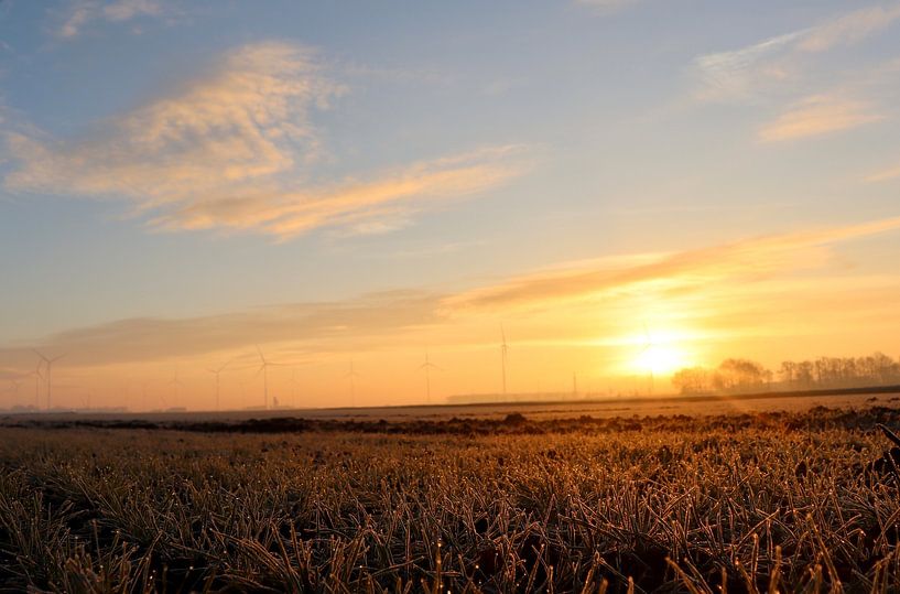 Rosée du matin aux Pays-Bas par Rob Doornbos