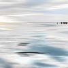 Paardenkoetsen_in_de_Watt_High_Key_blurred van Manfred Rautenberg Photoart