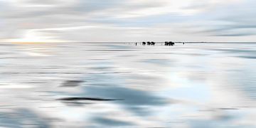 Paardenkoetsen_in_de_Watt_High_Key_blurred van Manfred Rautenberg Photoart