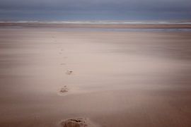 Le promeneur solitaire (couleur)
